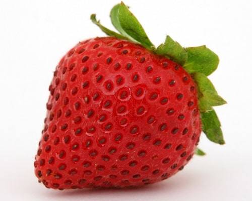 Máy bẻ đai sắt tự động servo thủy lực