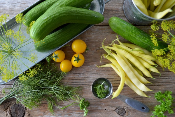 Máy bẻ đai sắt tự động Ocean Machinery